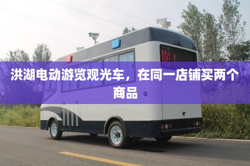 洪湖电动游览观光车，在同一店铺买两个商品